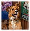 PRE-bone-giveBone+complete.png