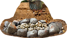 PRE-firewood-campfire+fireStage2.png