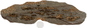 PRE-scrubbingBrush-cleanFloor+removeMess.png