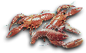 HDN-crayfish.png