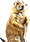 HDN-groundhog.png